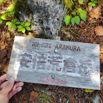 少し隠れてました山頂
