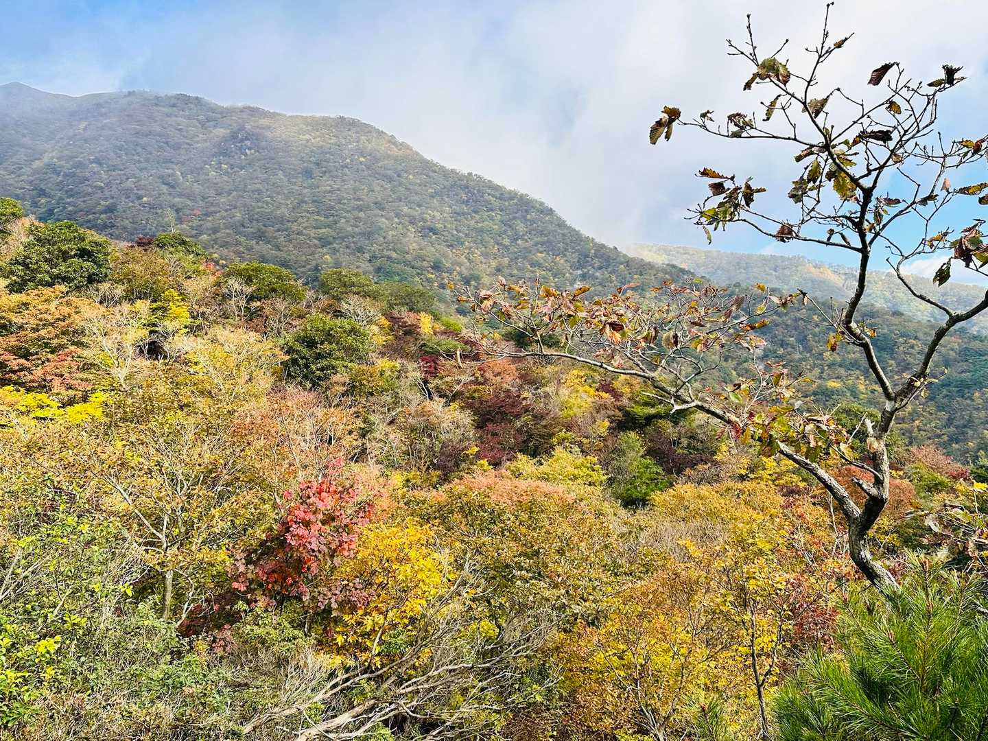 表道登山道 コースの写真