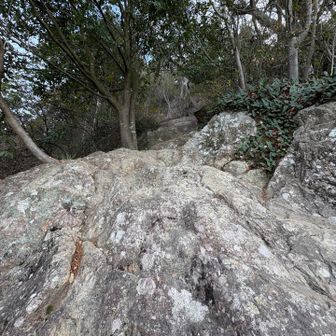 山頂直下のプチ岩場