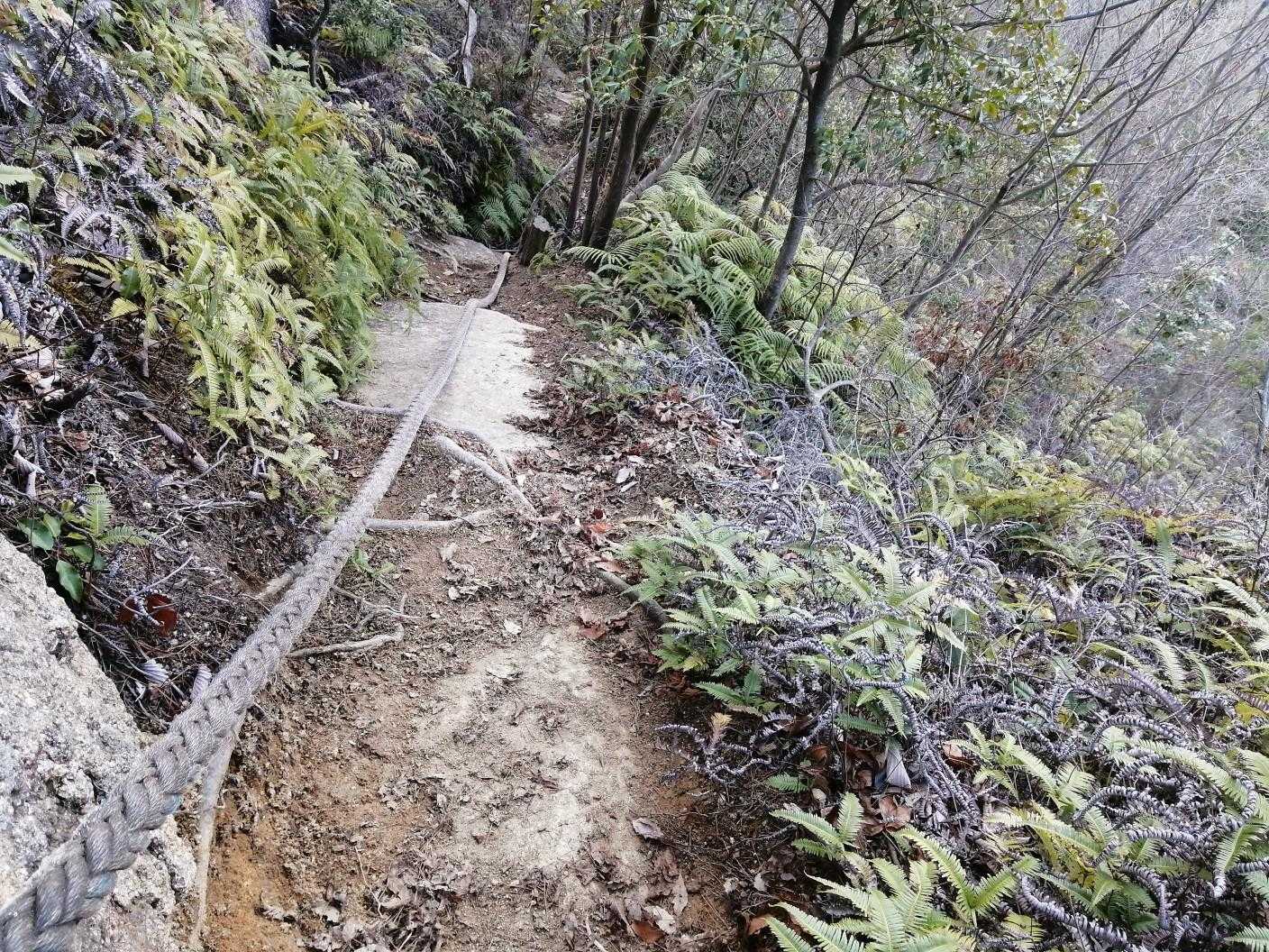 登山道、中央コースは急勾配です。