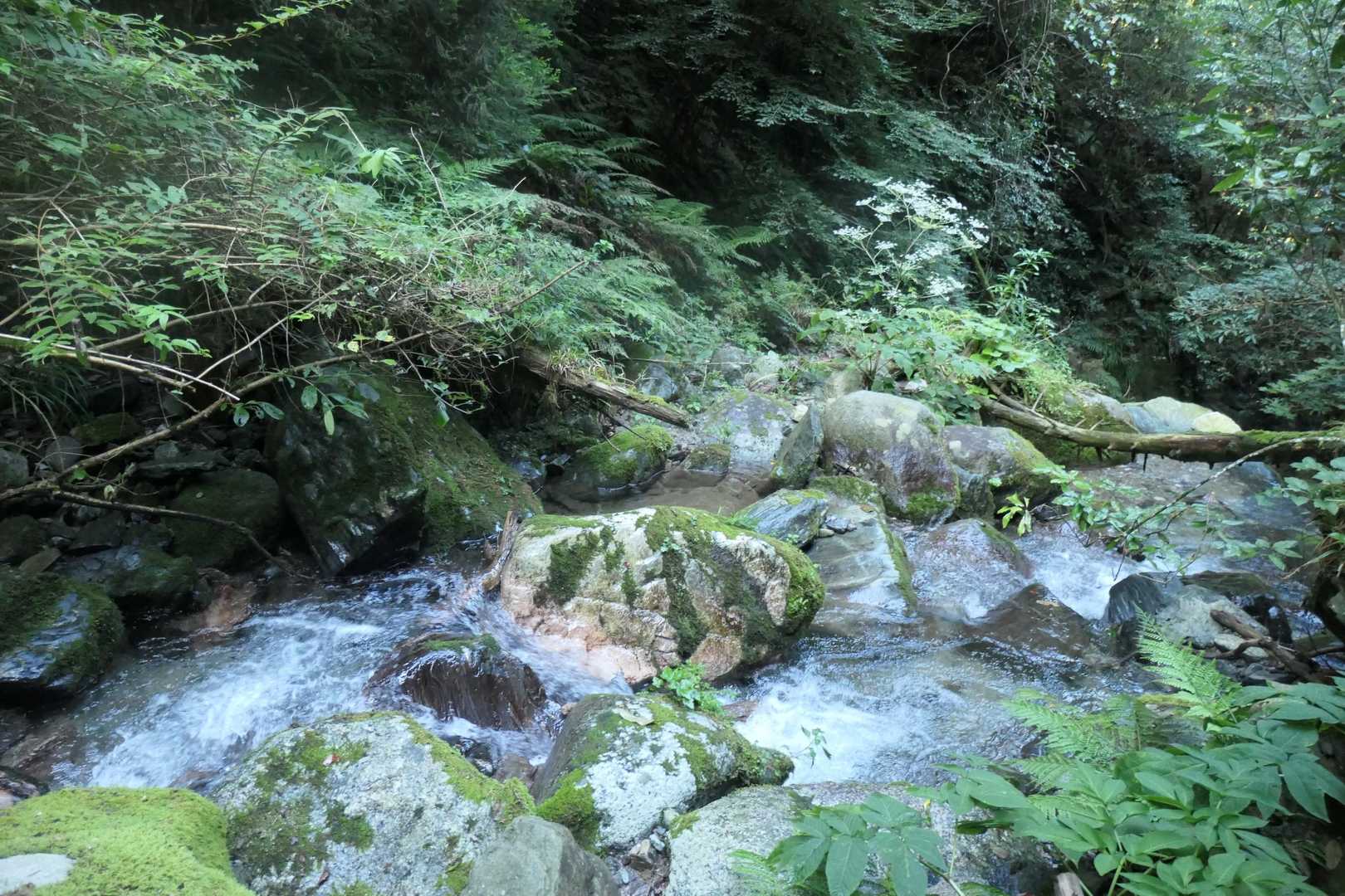 瑞梅寺登山口-洗谷登山口-井原山 周回コースの写真