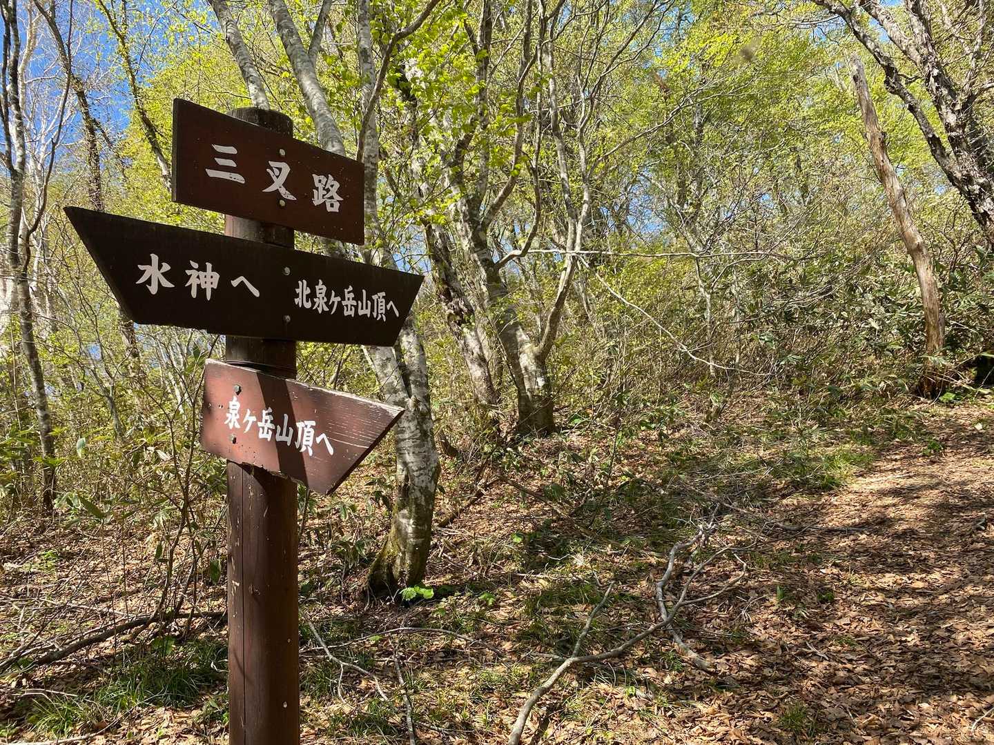三叉路に到着