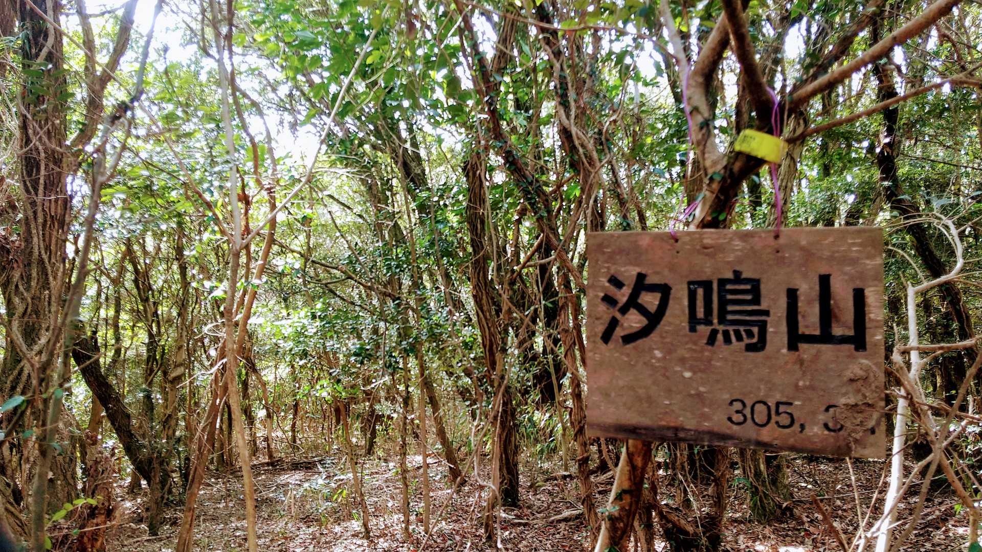 ｷﾚｲな名前の「汐鳴山」
展望はないですよ
緑地公園からちょとはずれて林道から向かいます
…けど
ﾋﾟｰｸの手前 笹薮 イバラ 倒木何本かありました
すぐ終わるけどね
藪こぎｷﾗｲなわたくしどもでも我慢できる距離😂