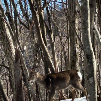おじゃまします🙏