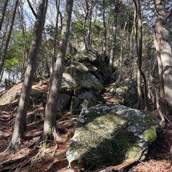 巨石だらけになる🪨