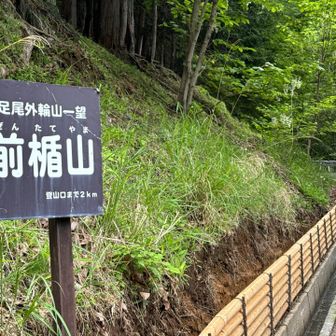 　　楯山から孤高のブナが良く
　　見えるらしい…