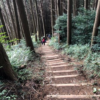 やまもとやまは低山