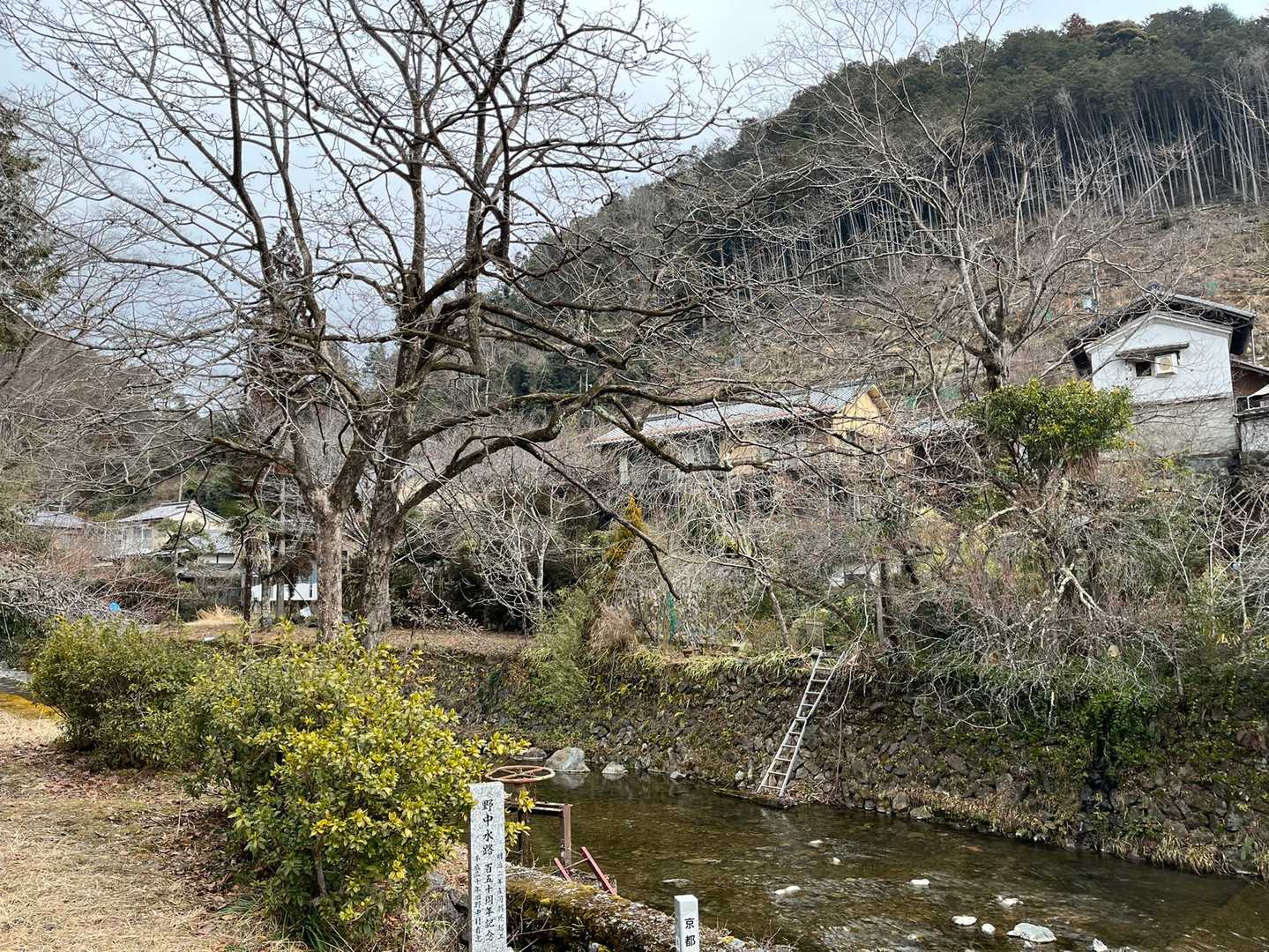 夜泣峠-向山-ポイント 縦走コースの写真