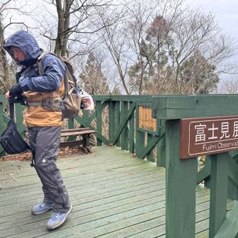 雨が降ってきました。