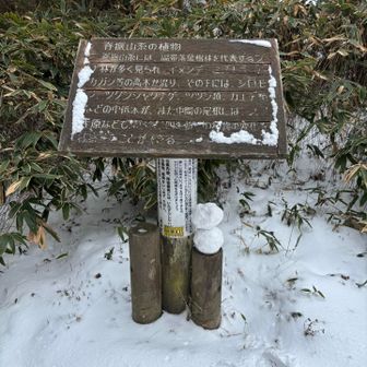 氷瀑後の稜線までの登りで結構体力を使ったので、鬼ヶ鼻岩は次回にして椎原峠から登ります