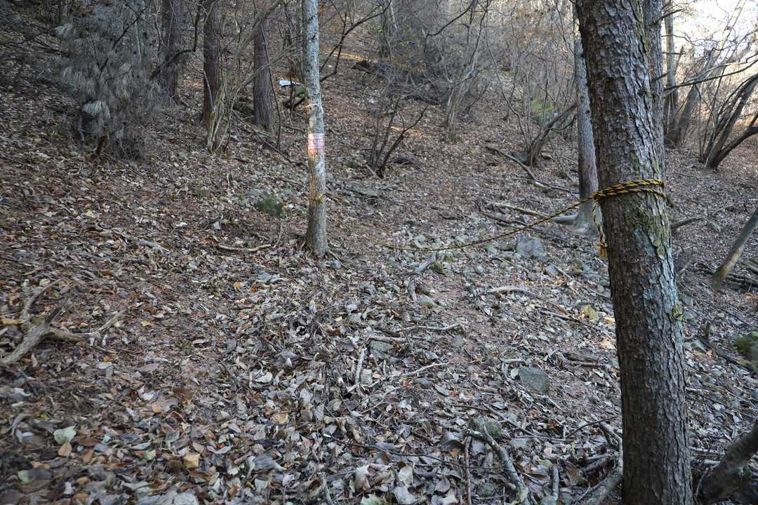 道なりロープで誘導