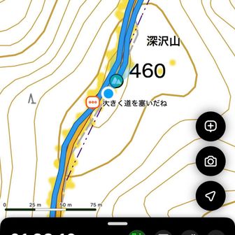 深沢山の標識写真を撮り忘れたことに気づき、戻って探すも見つからず…
無駄に登り返してしまった💦