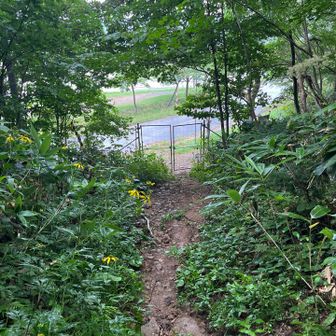 ようやく新道ゲートが見えてきました。疲れました。。