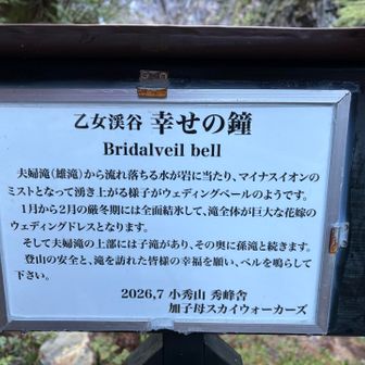 滝のウェディングドレス👗とな？