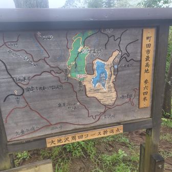 コース多数
