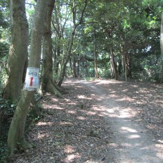 下山路