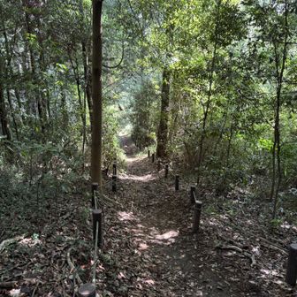道はこんな感じ
意外と日陰が多い