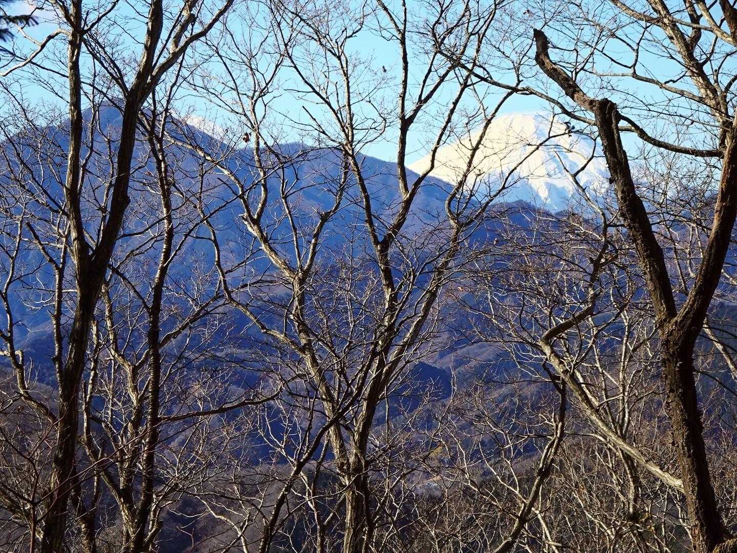 下山路の左側にずっ〜と富士山が見えて、ラッキー😄✌️