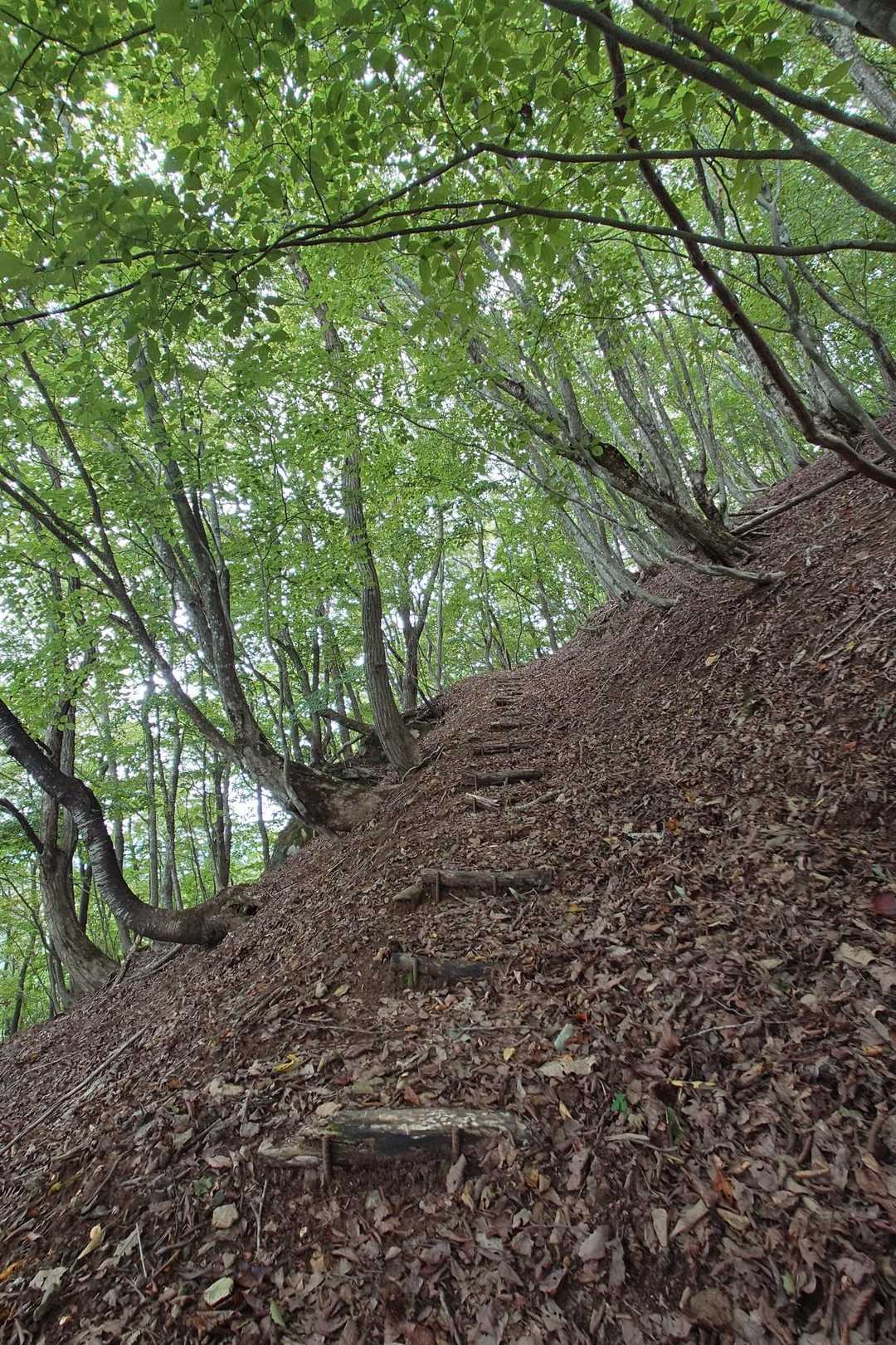 弥仙山登山口-弥仙山 周回コースの写真