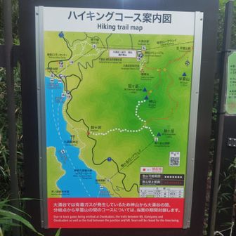 大涌谷へは行けず。