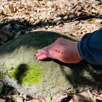 そこら辺の石の上で ヤマップ🔺しておくか。