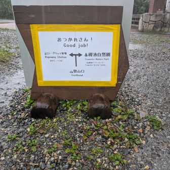 ぐっじょぶ！ホントにそう！