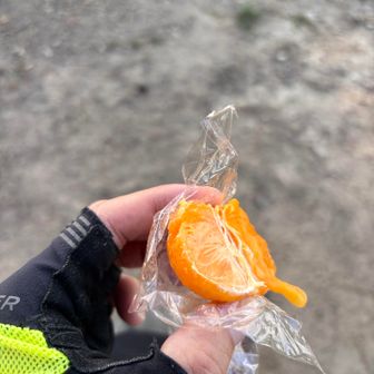 うまー🍊