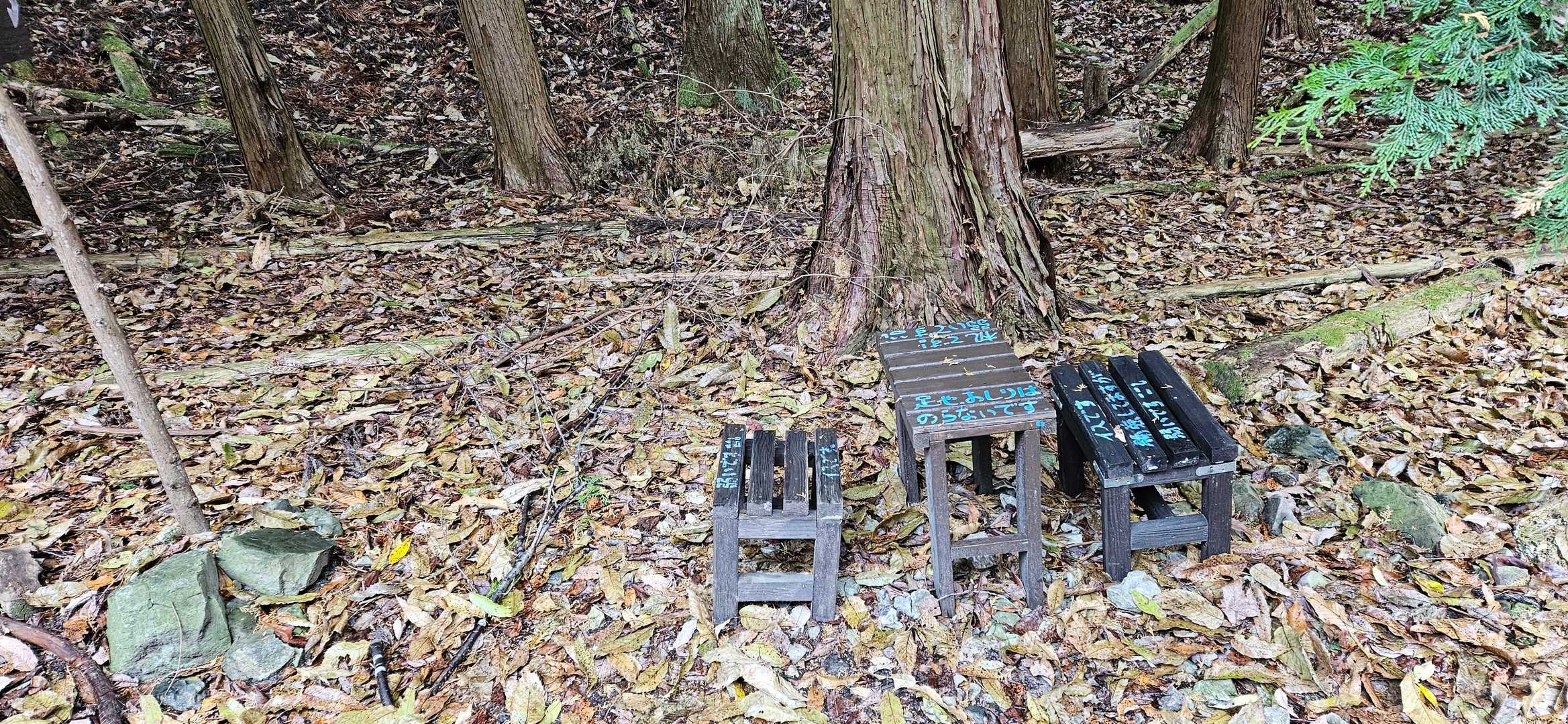 鉢伏山-明ヶ田尾山 往復コースの写真