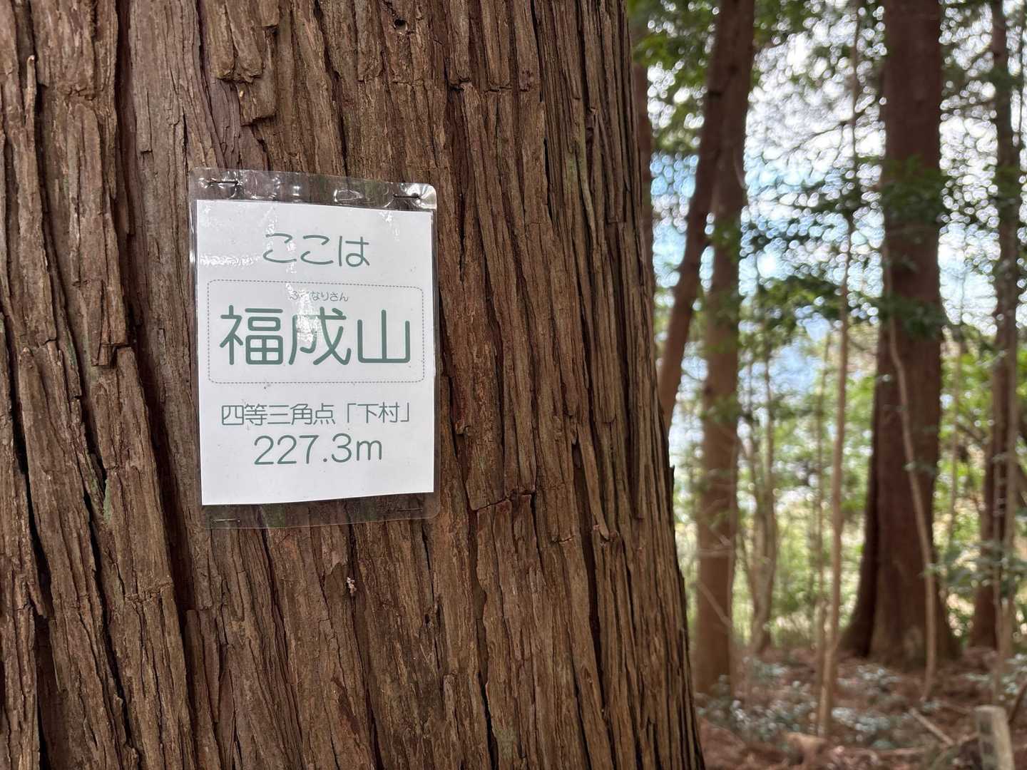 福成山⛰️到着🙌

ここでも相談
下に降りて帰りは🚌？それとも歩いて戻る？
息子は歩くしかない‼️というので
頑張って戻ります😅