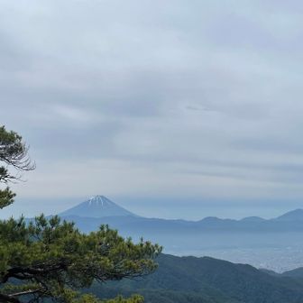 弥三郎岳頂上直前のところから見える富士山