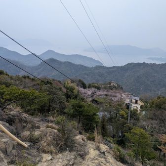 頂上からの見晴らし