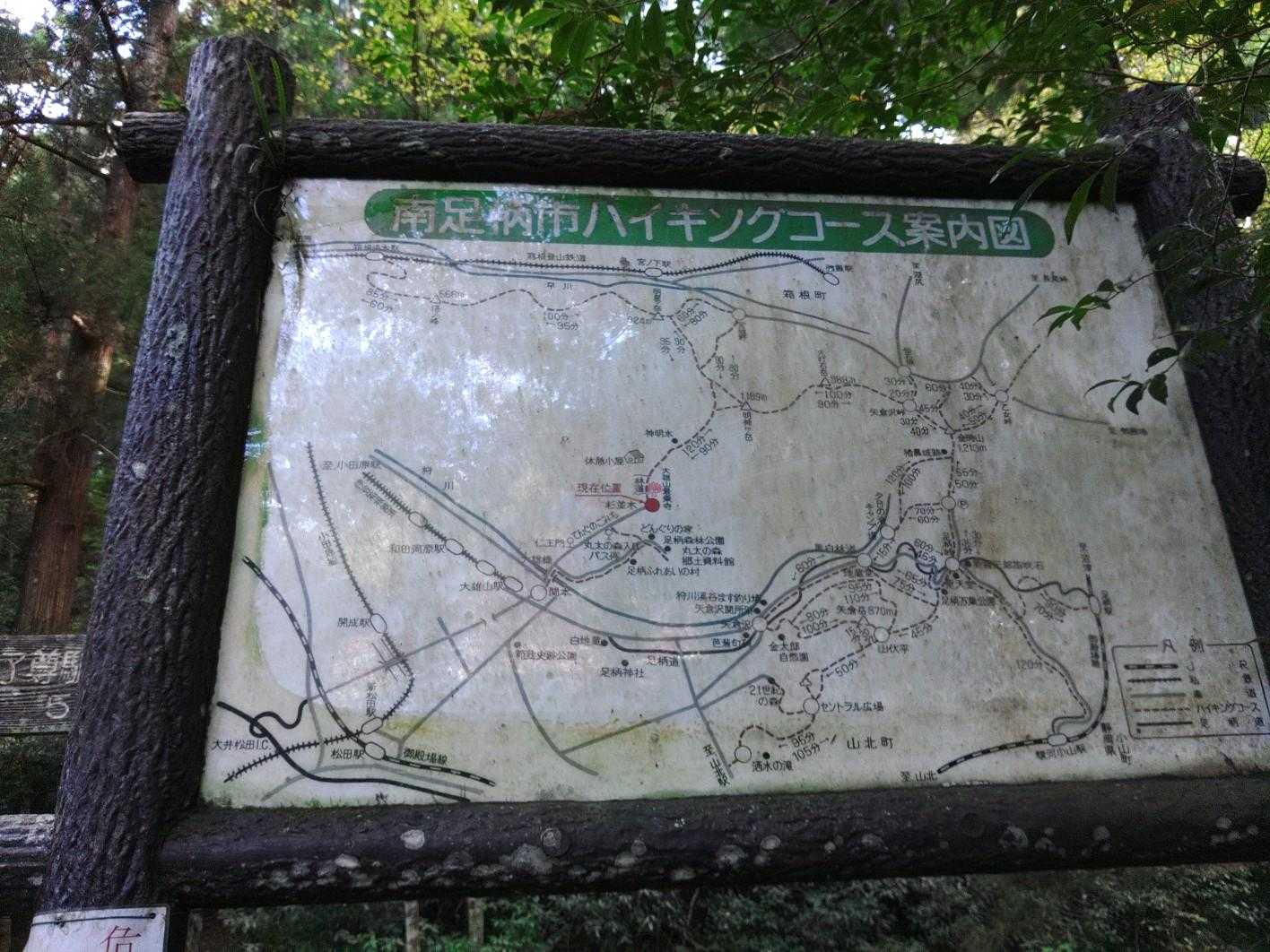ハイキングというにはいささか過酷では…？