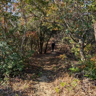 尾根歩きは気持ちがいい！