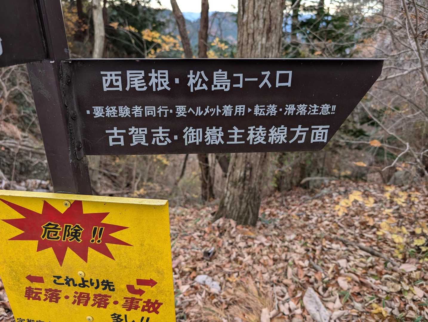 間違えてこっちにきちゃい