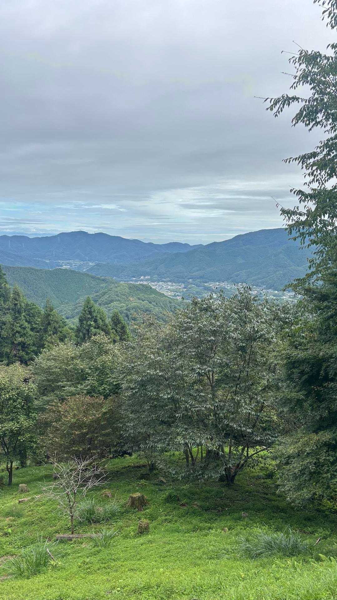 宝登山-宝登山ロープウェイ 宝登山頂駅-宝登山登山口-宝登 周回コースの写真