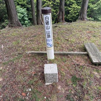 白猪山山頂に到着