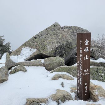 山頂手前（鳥居のあたり）
にも山頂標識ありました