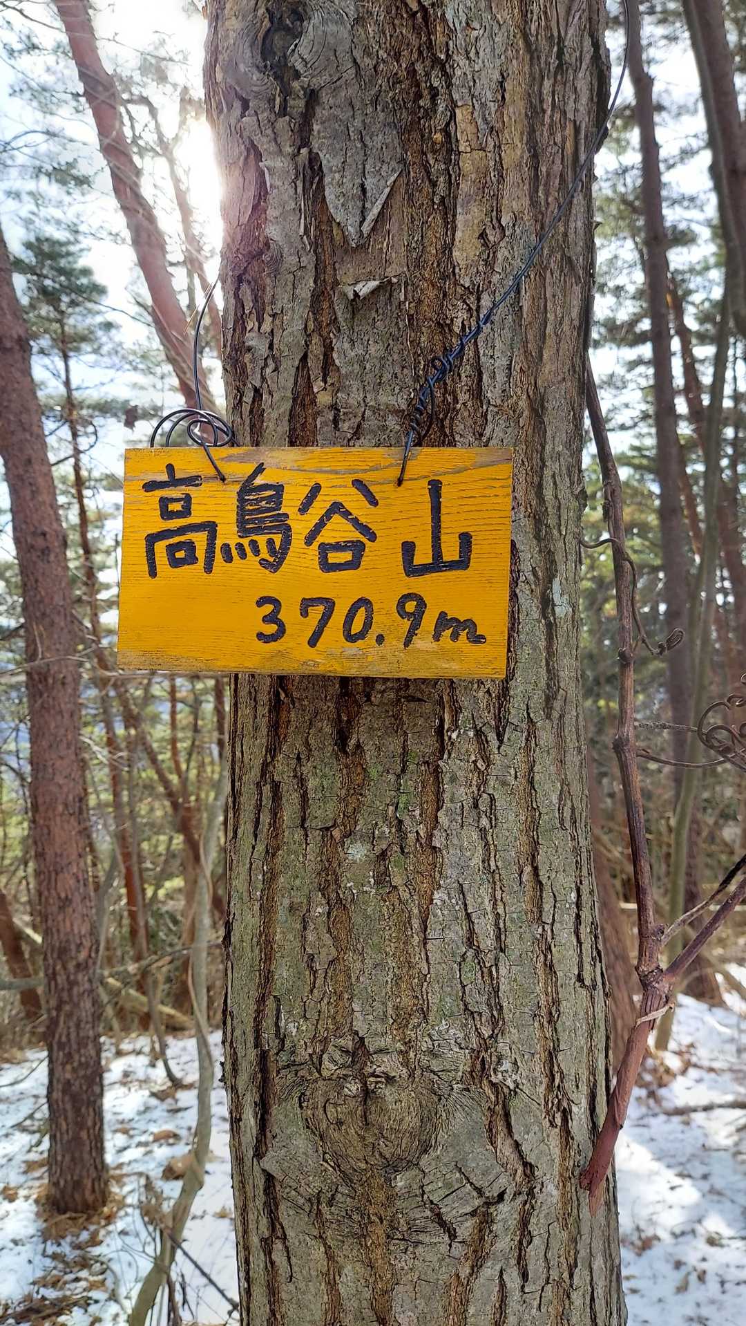 三角点▲は見つけられなかったけど山名板発見✌