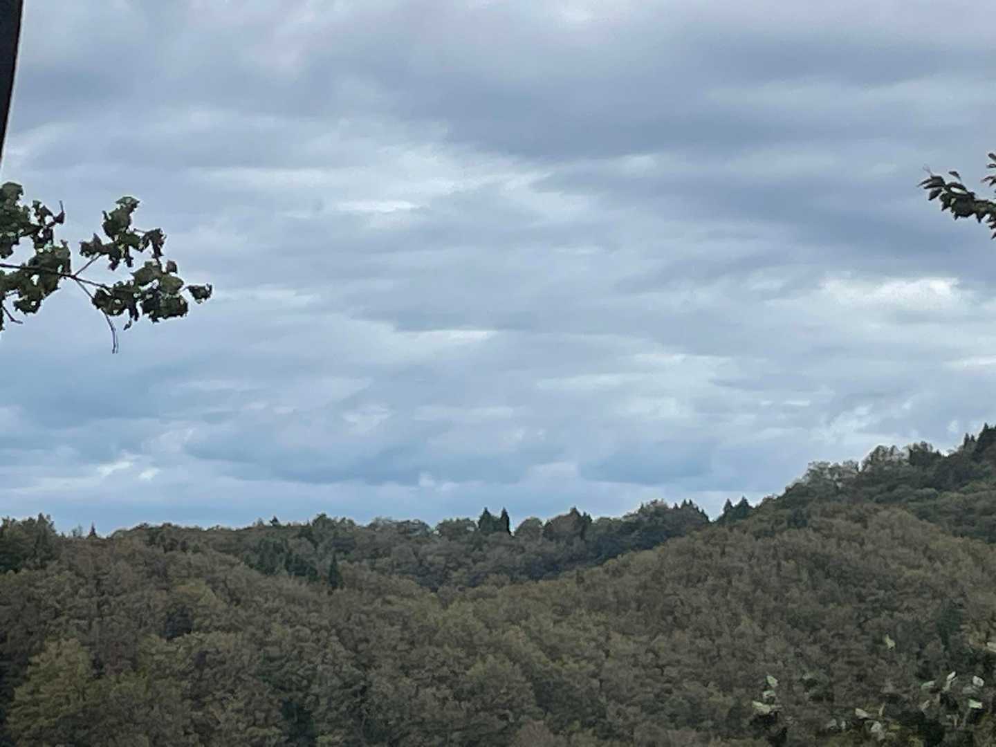 トトロ見えますね！