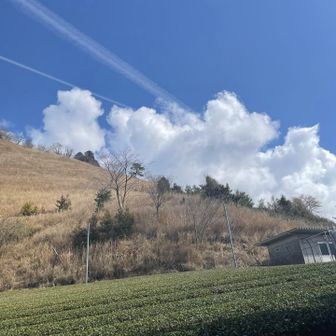 青空　いっぱい