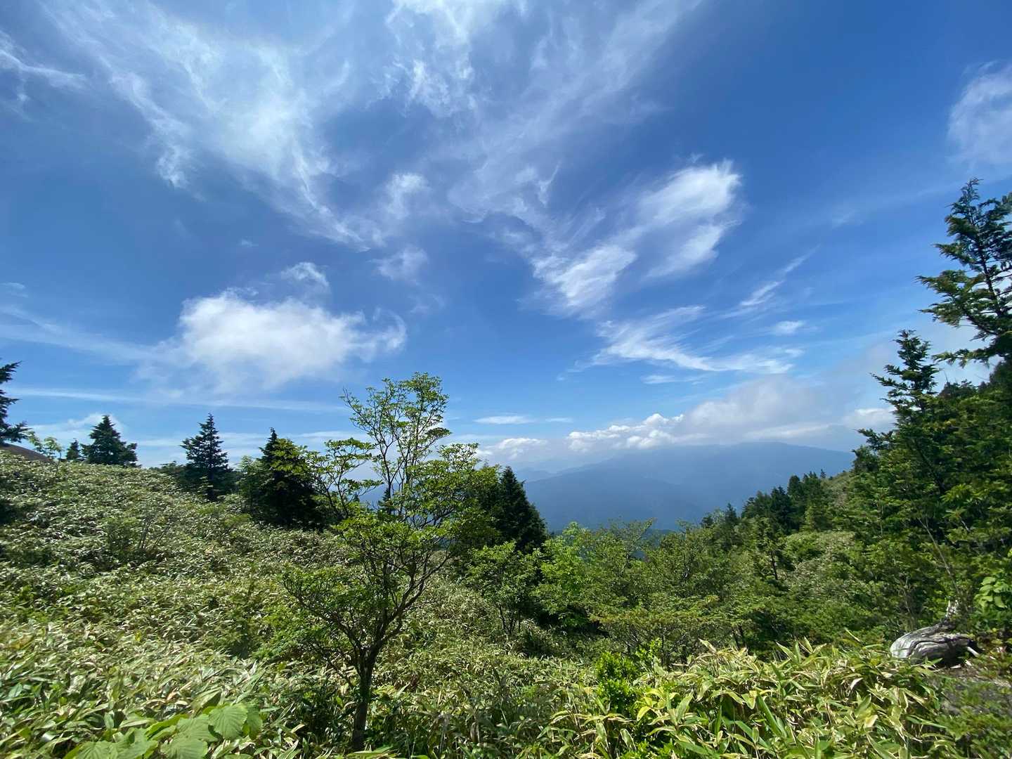 上の原駐車場登山口-南木曽岳 往復コースの写真