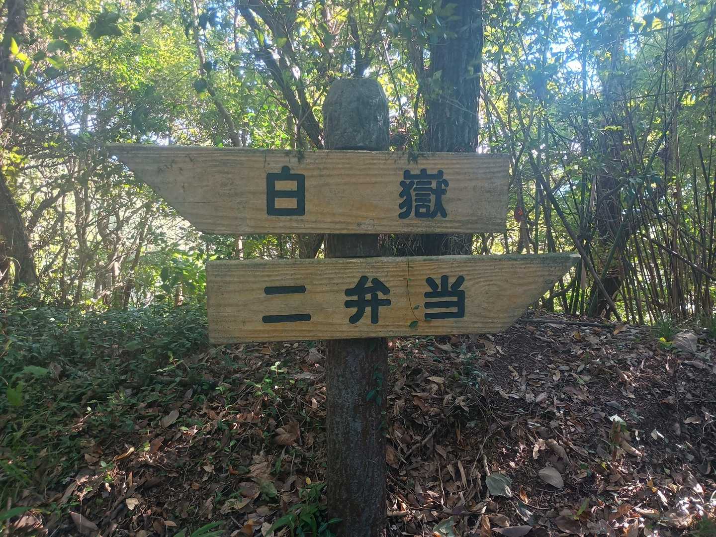にべんとう？🍱🍱