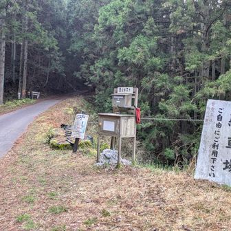 お初のこちらからStar☆T