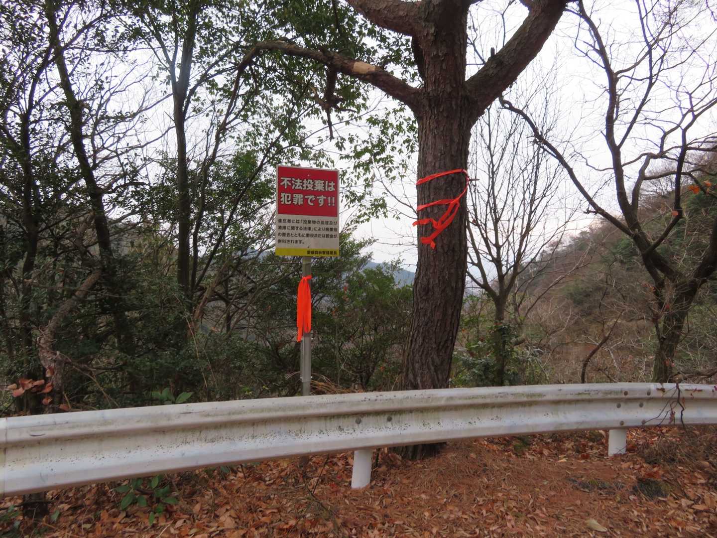 不法投棄の看板がとても多い道だと思っていましたが、