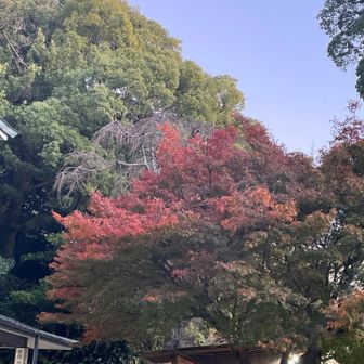 やっぱり⛰️はいいね❣️