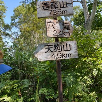 遠藤山は思ったより賑わっていたぞ