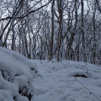 そして国見山
急坂の方を頑張る✊