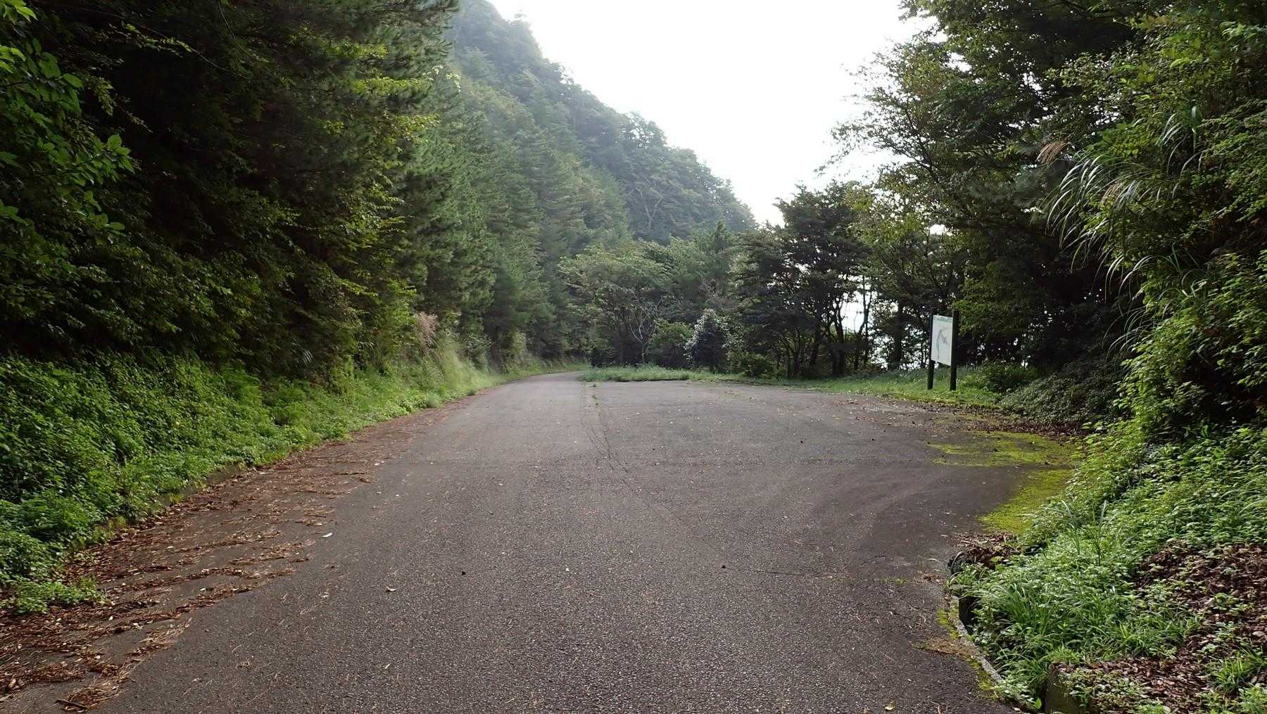 林道を戻る。