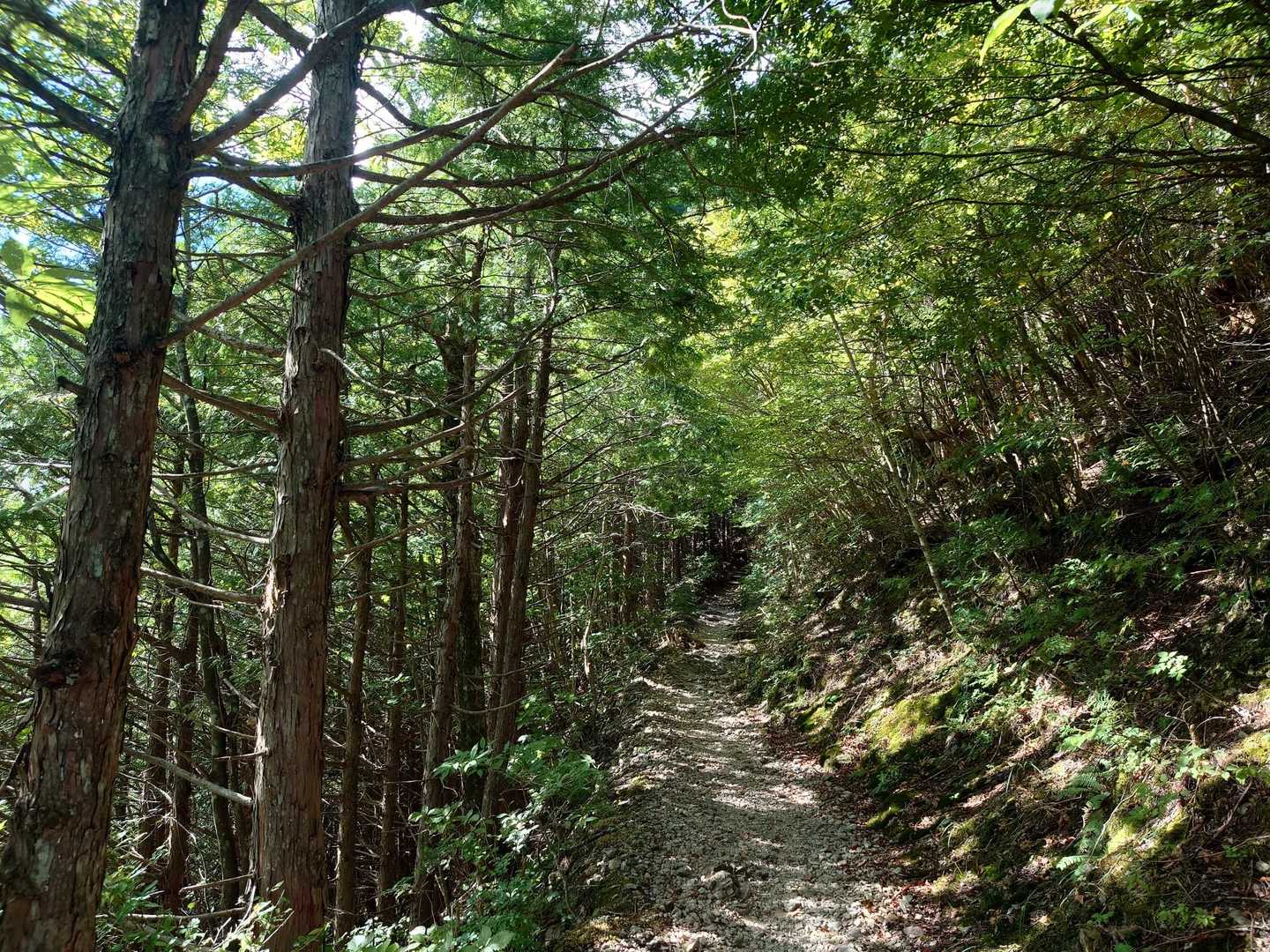 いつも足元を見て歩いているので、今回は上を見て歩くように心がけたら、きれいな景色をたくさん見ることができた☺