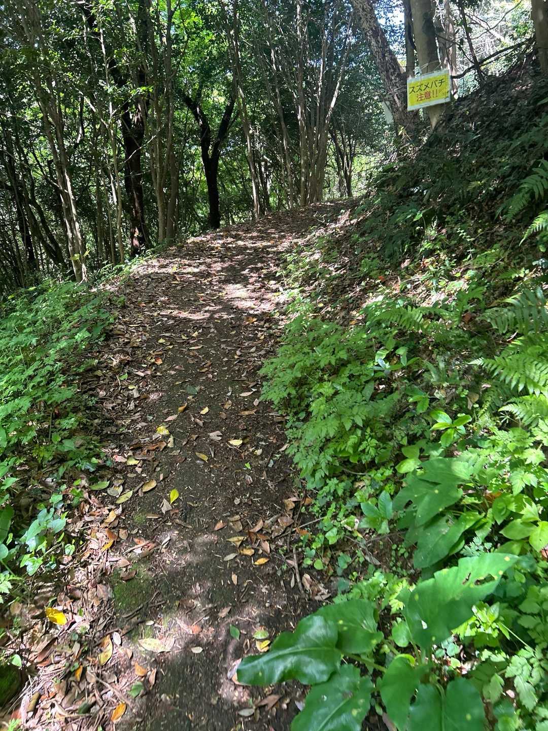 日陰多くて涼しい
つーか今日暑い💦